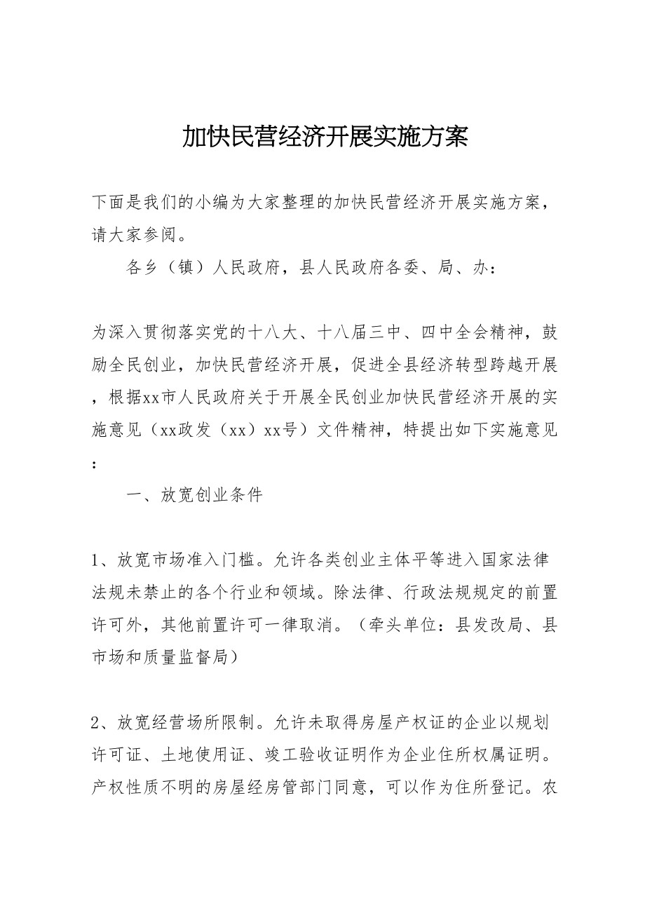 2023年加快民营经济发展实施方案.doc_第1页