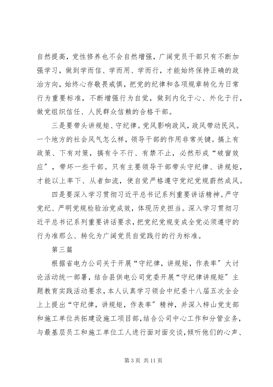 2023年讲规矩守纪律作表率大讨论心得体会篇.docx_第3页