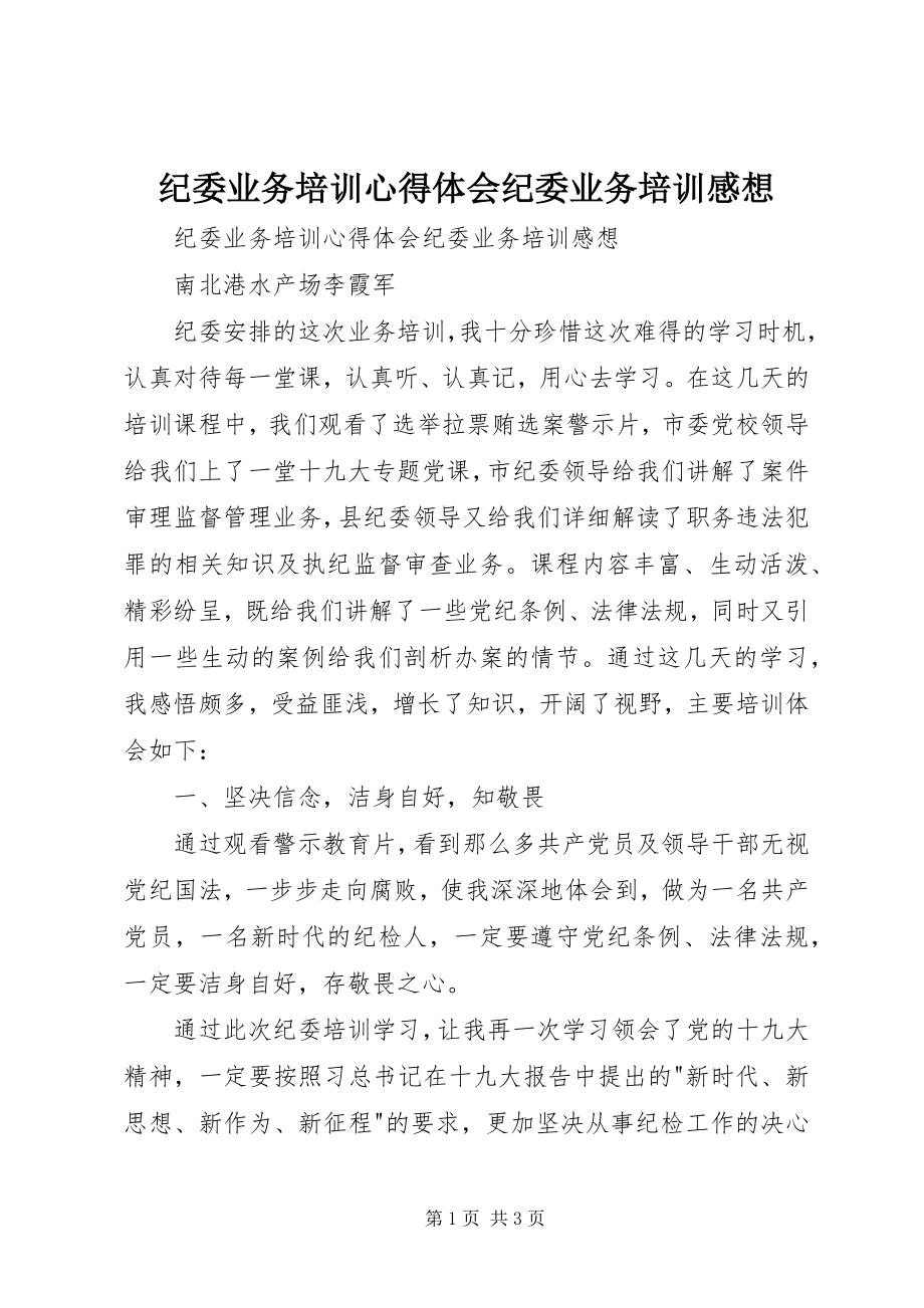 2023年纪委业务培训心得体会纪委业务培训感想.docx_第1页