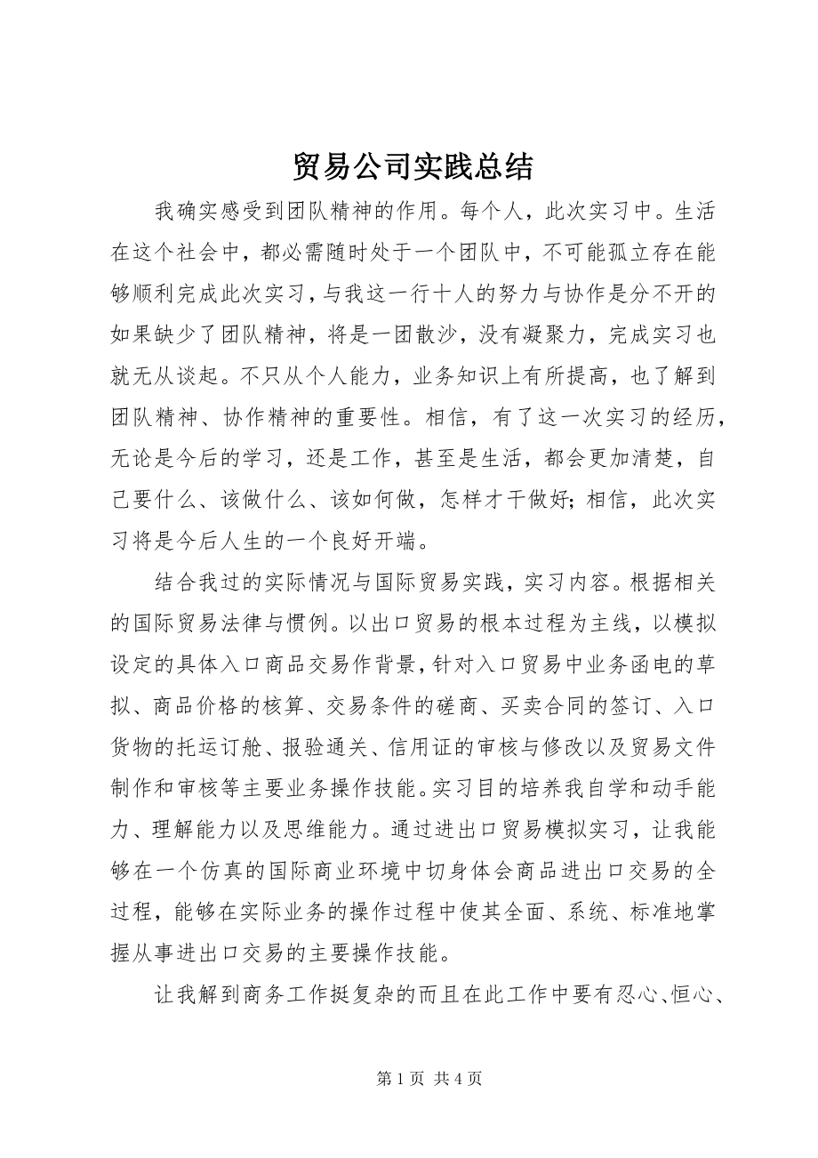 2023年贸易公司实践总结.docx_第1页