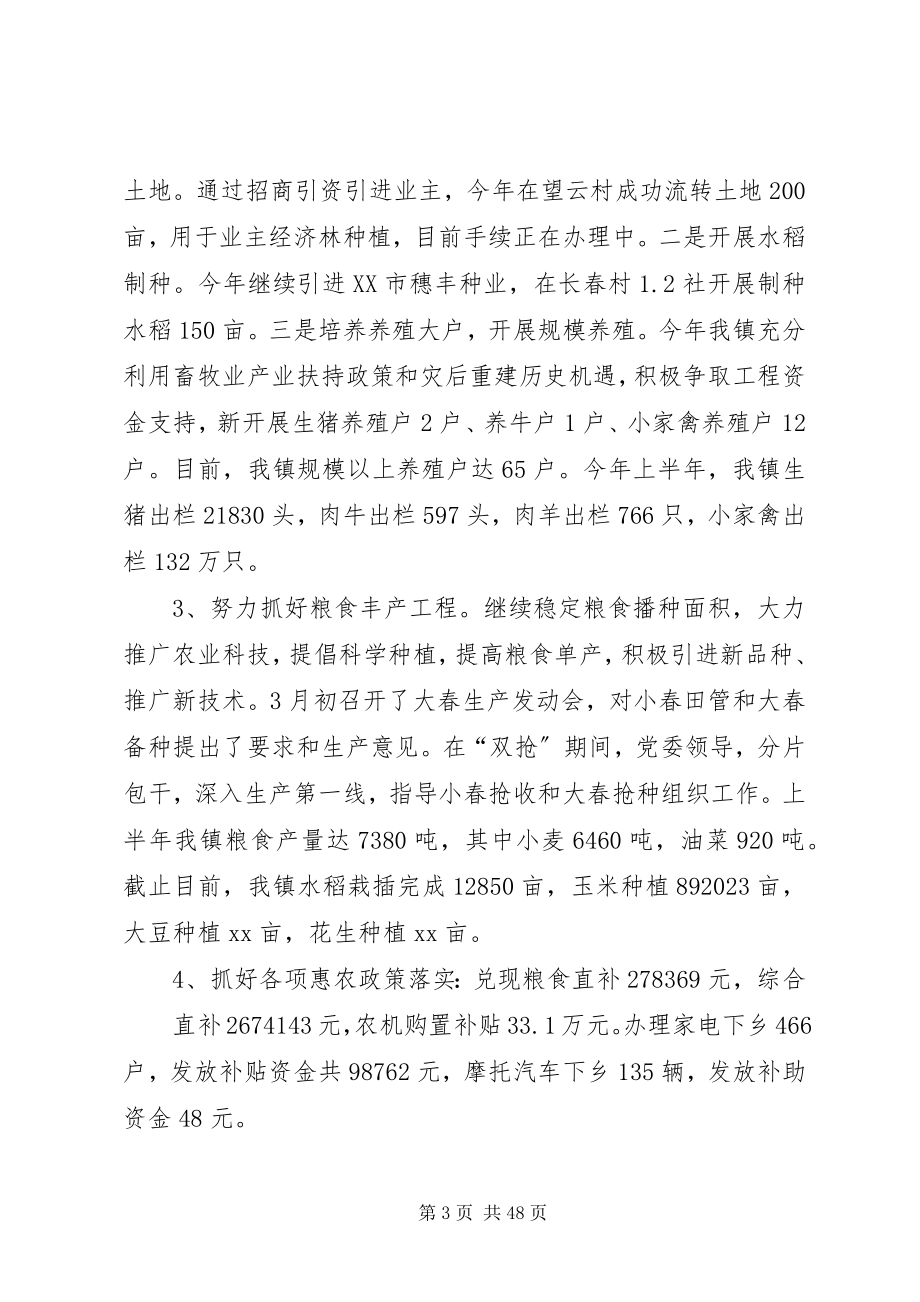 2023年乡镇上半年工作总结4篇.docx_第3页