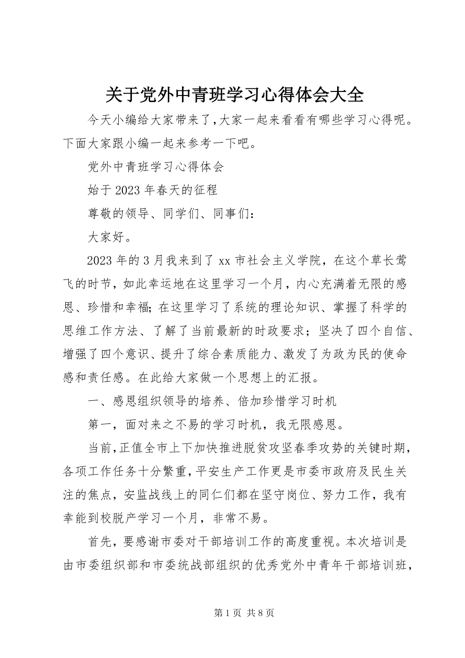 2023年党外中青班学习心得体会大全.docx_第1页