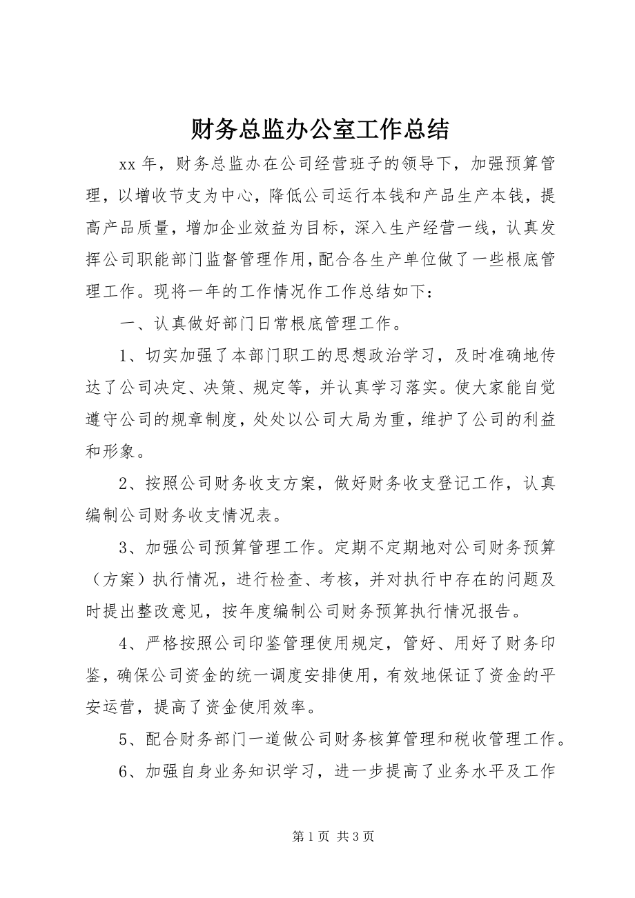 2023年财务总监办公室工作总结.docx_第1页