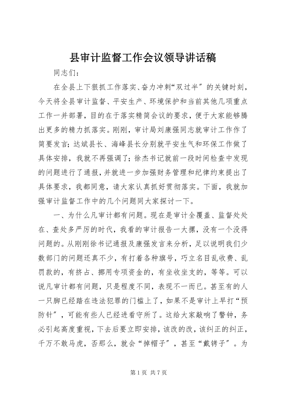 2023年县审计监督工作会议领导致辞稿.docx_第1页