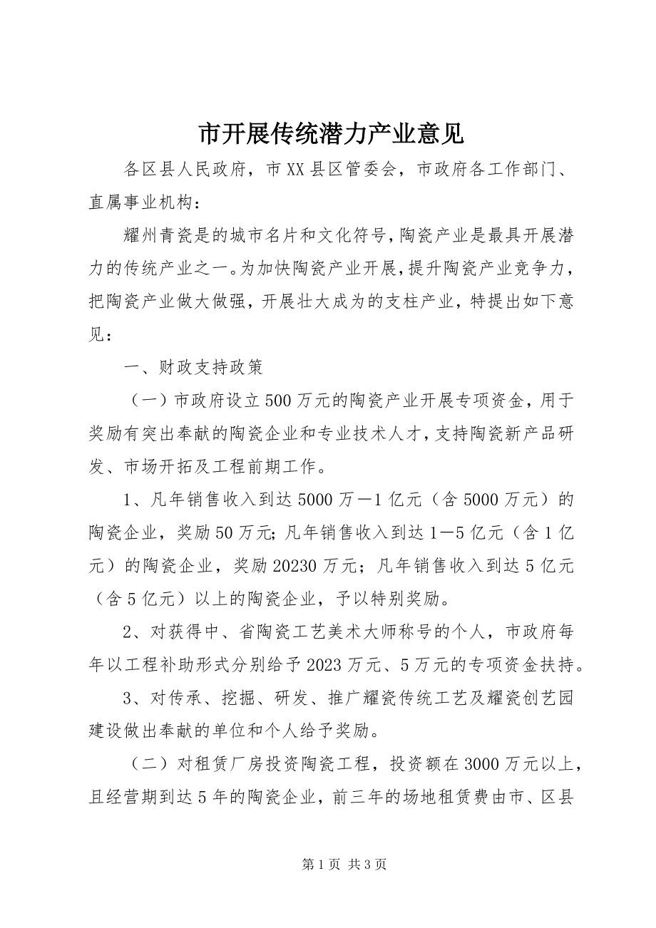 2023年市发展传统潜力产业意见.docx_第1页