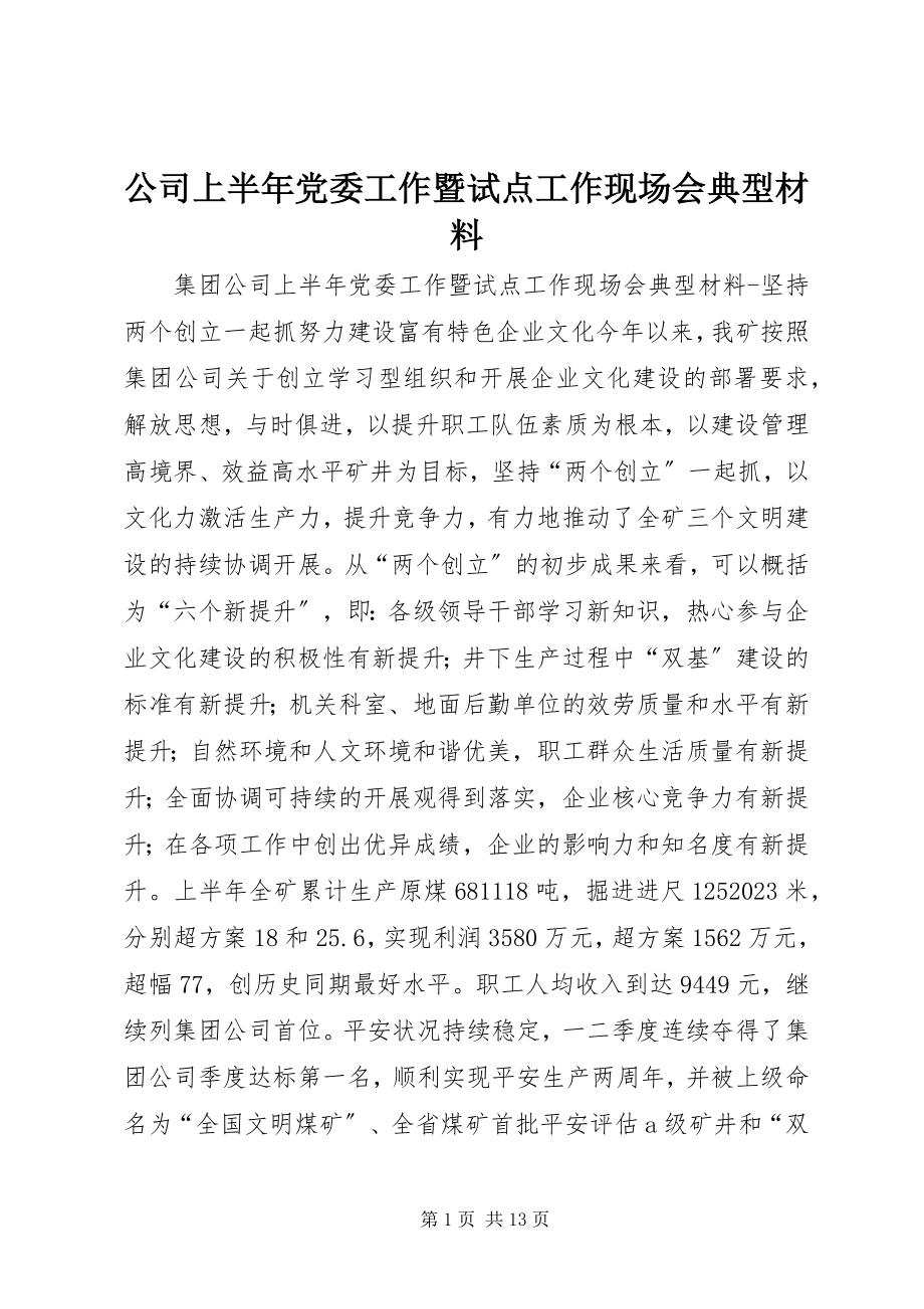 2023年公司上半年党委工作暨试点工作现场会典型材料.docx_第1页