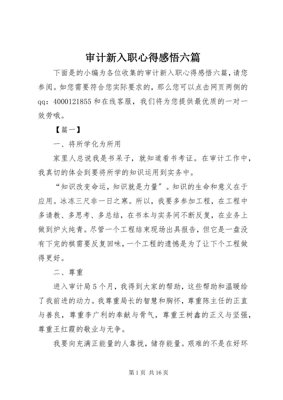 2023年审计新入职心得感悟六篇.docx_第1页