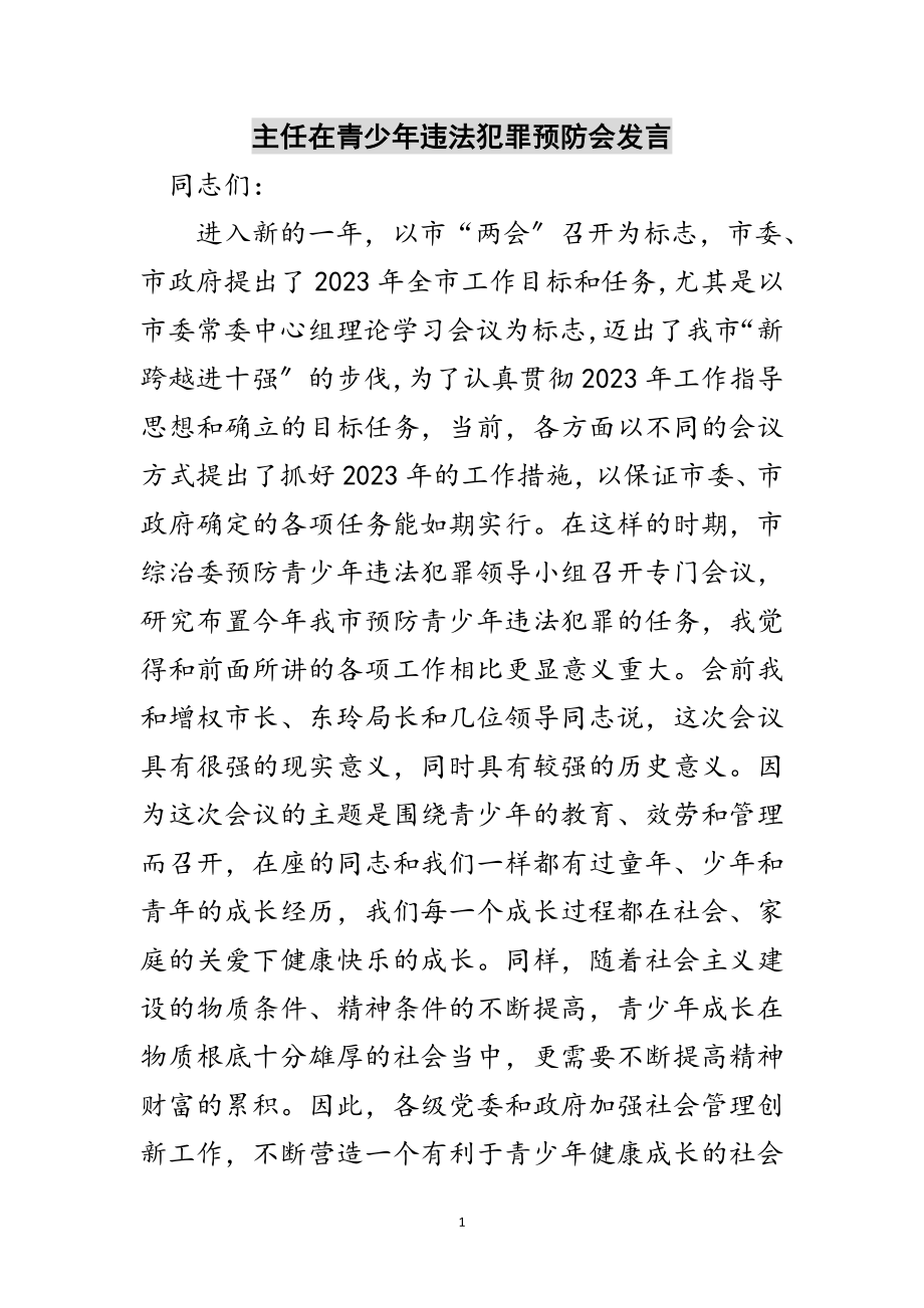 2023年主任在青少年违法犯罪预防会发言范文.doc_第1页