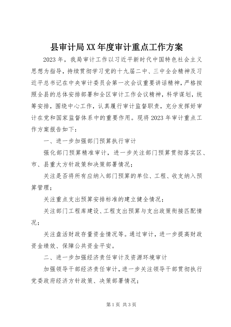 2023年县审计局度审计重点工作计划.docx_第1页