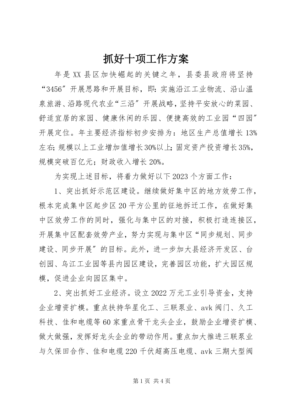 2023年抓好十项工作计划.docx_第1页