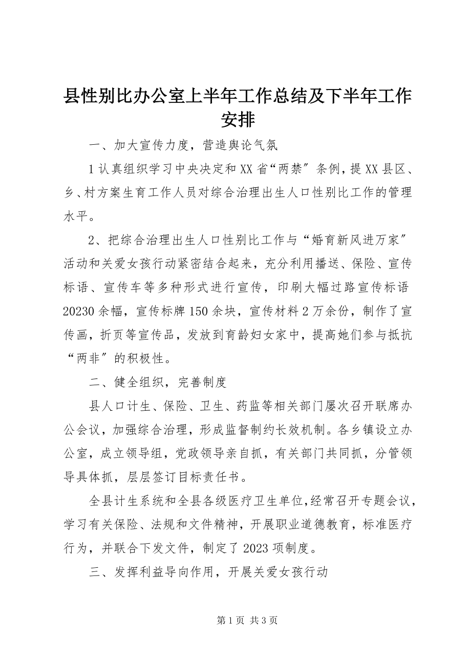 2023年县性别比办公室上半年工作总结及下半年工作安排.docx_第1页