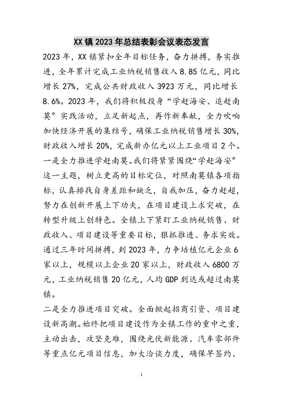 2023年XX镇年总结表彰会议表态发言范文.doc_第1页