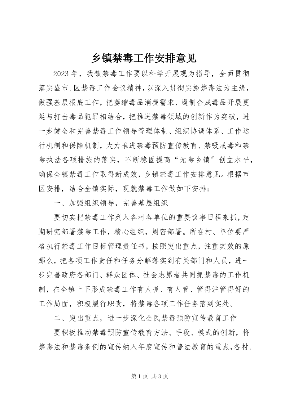 2023年乡镇禁毒工作安排意见.docx_第1页