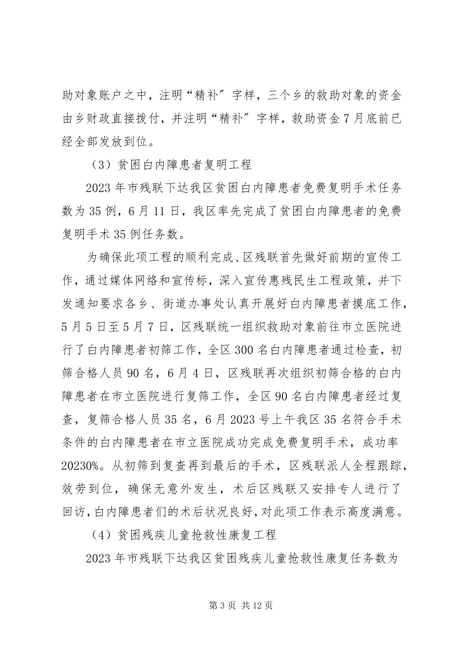 2023年残联年度社会民生工作总结和工作安排新编.docx_第3页