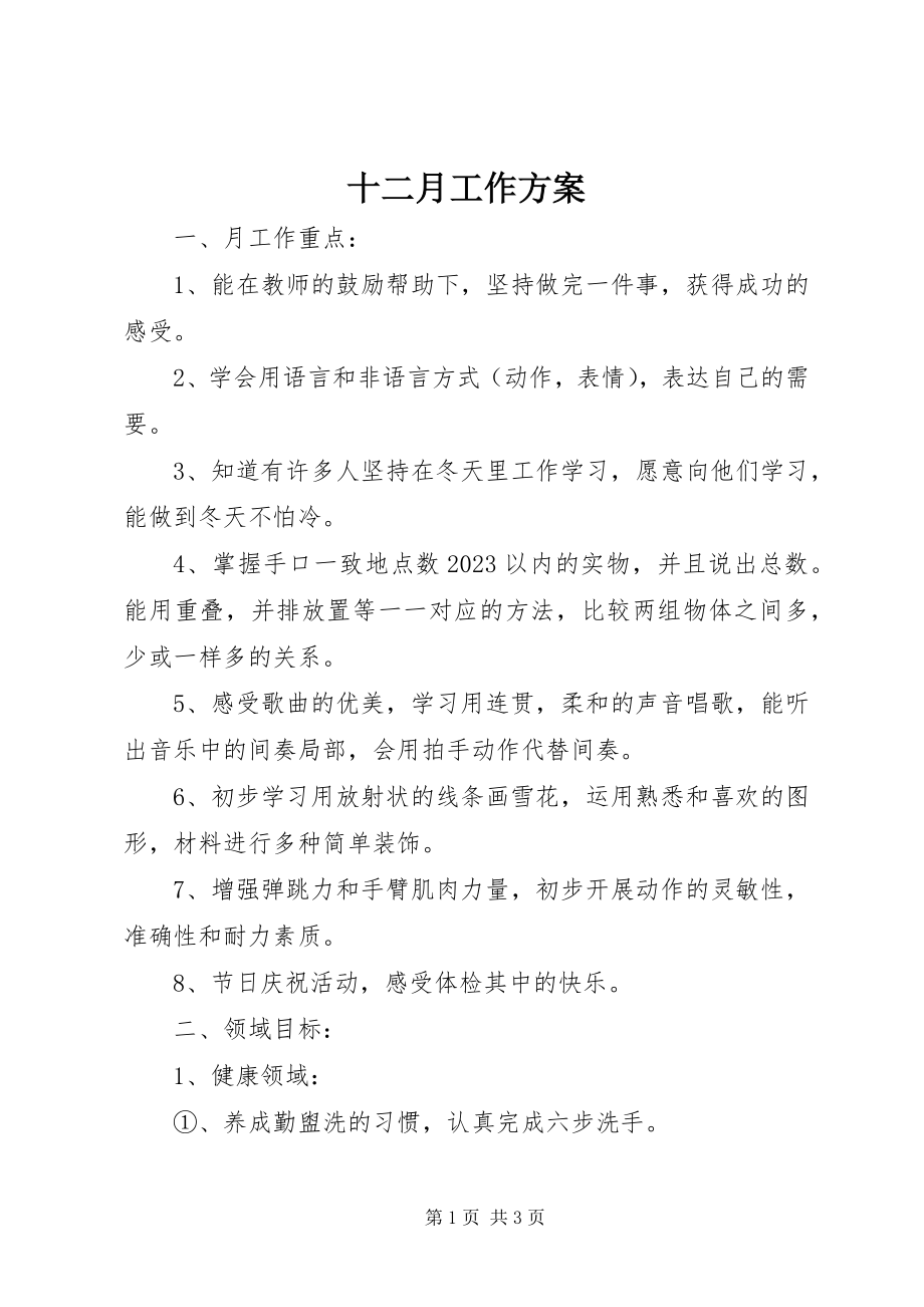 2023年十二月工作计划.docx_第1页