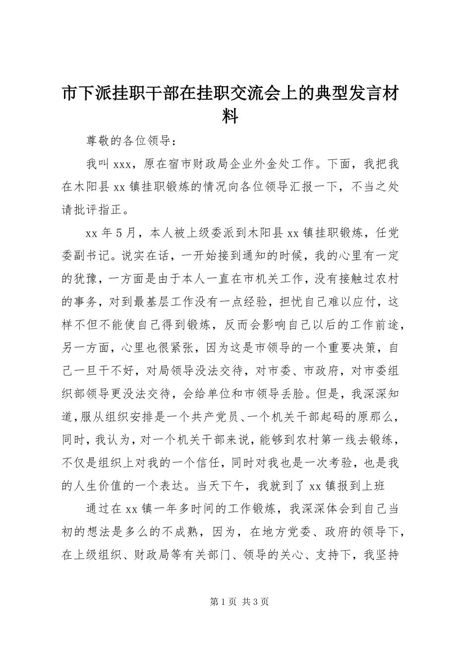 2023年市下派挂职干部在挂职交流会上的典型讲话材料.docx_第1页