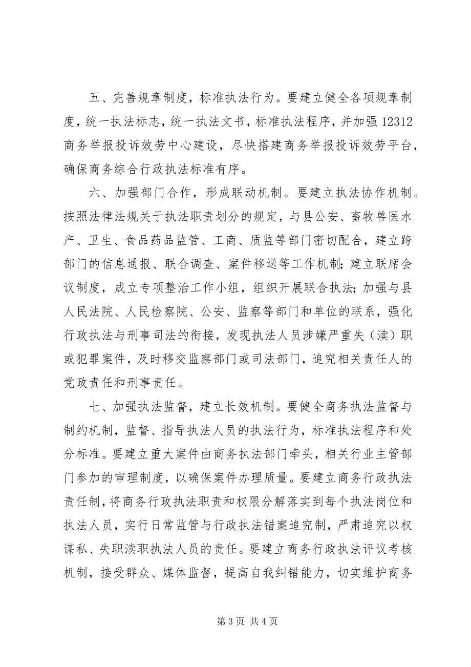 2023年商务综合行政执法工作计划.docx_第3页