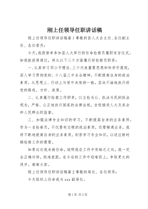 2023年刚上任领导任职致辞稿.docx