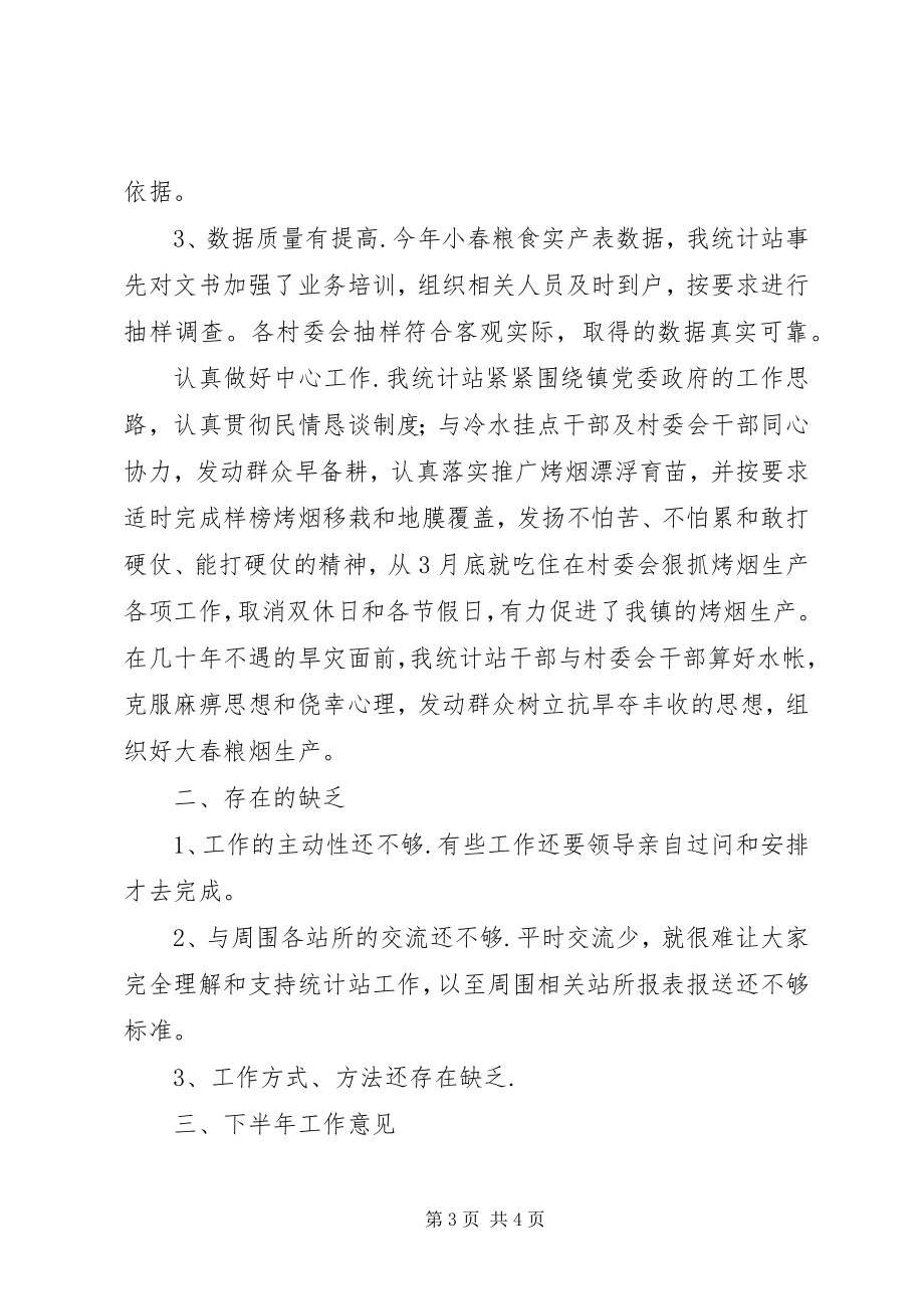 2023年统计站上半年工作总结及下半年工作计划.docx_第3页