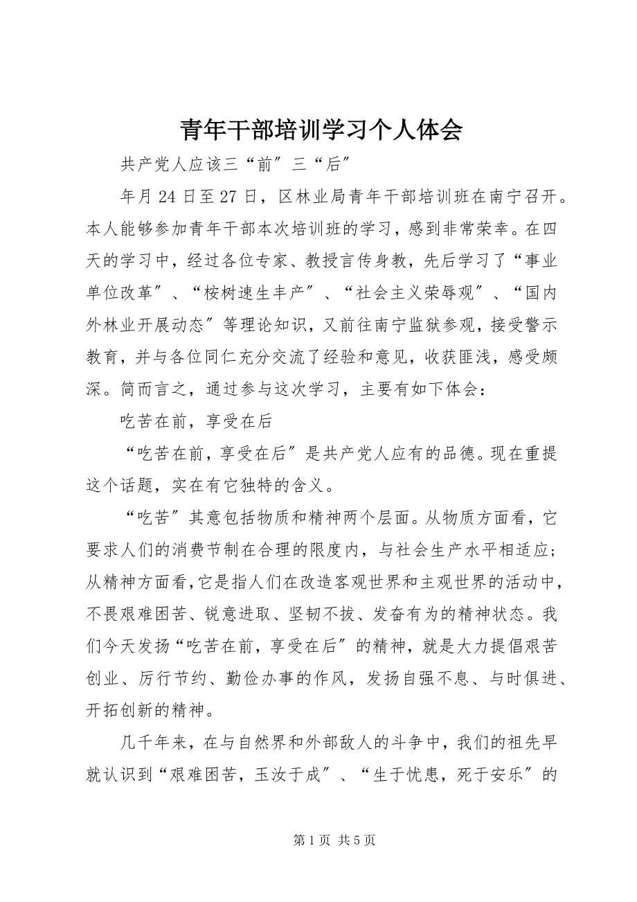 2023年青年干部培训学习个人体会.docx_第1页