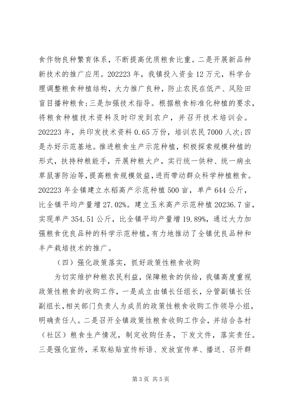 2023年粮食负责制执行情况的汇报.docx_第3页