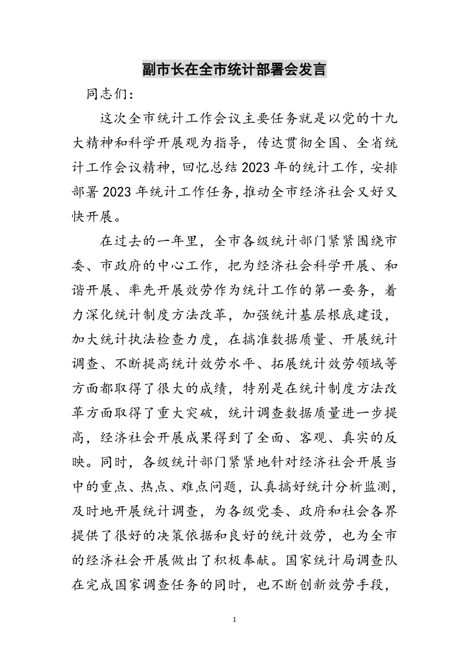 2023年副市长在全市统计部署会发言范文.doc_第1页