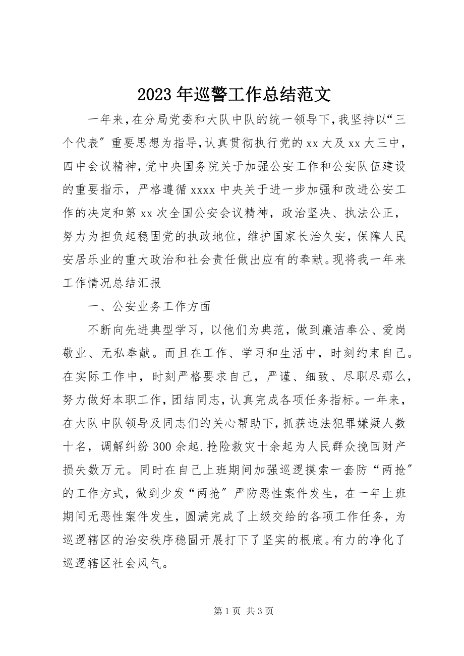 2023年巡警工作总结2.docx_第1页