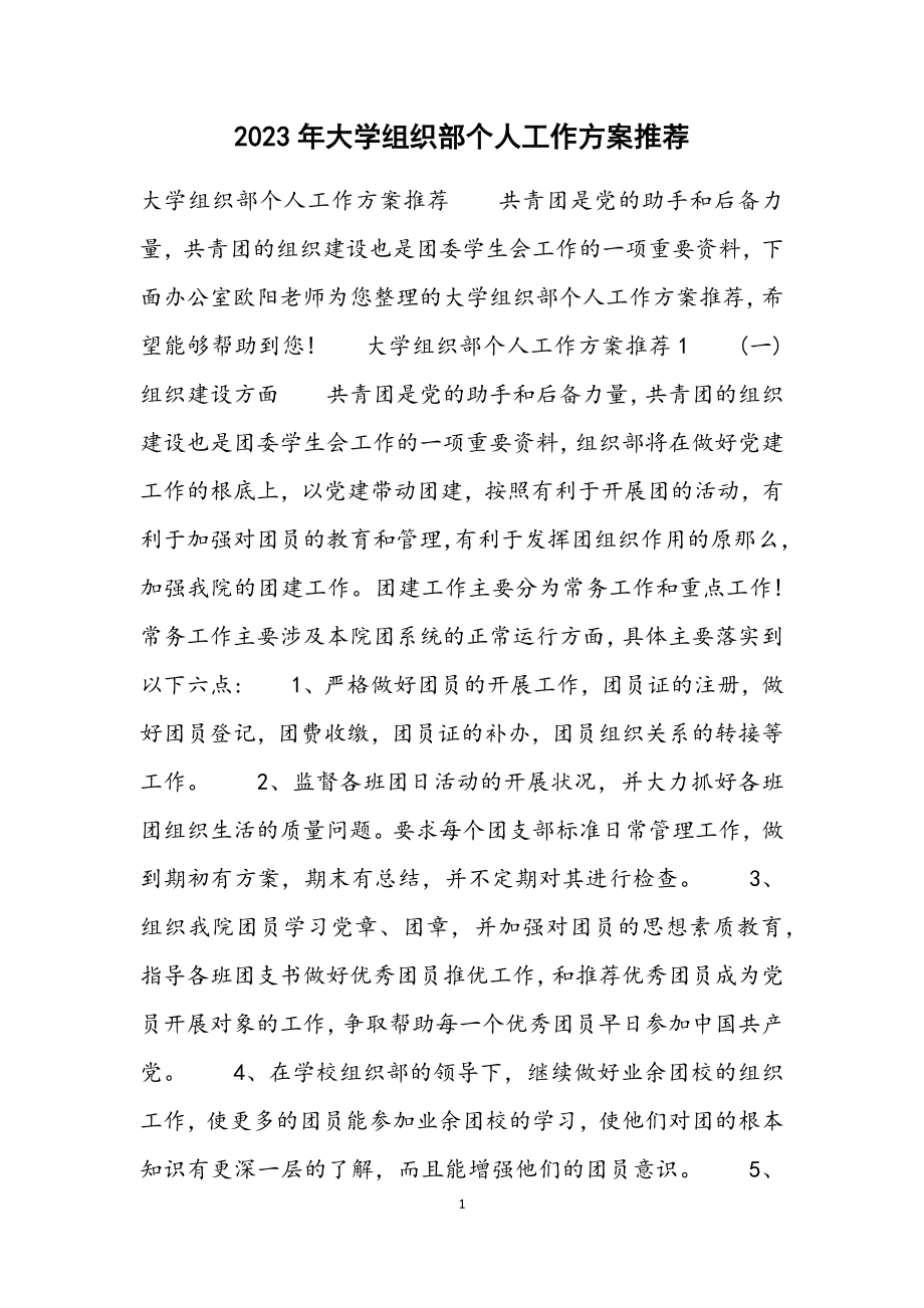 2023年大学组织部个人工作计划推荐.docx_第1页