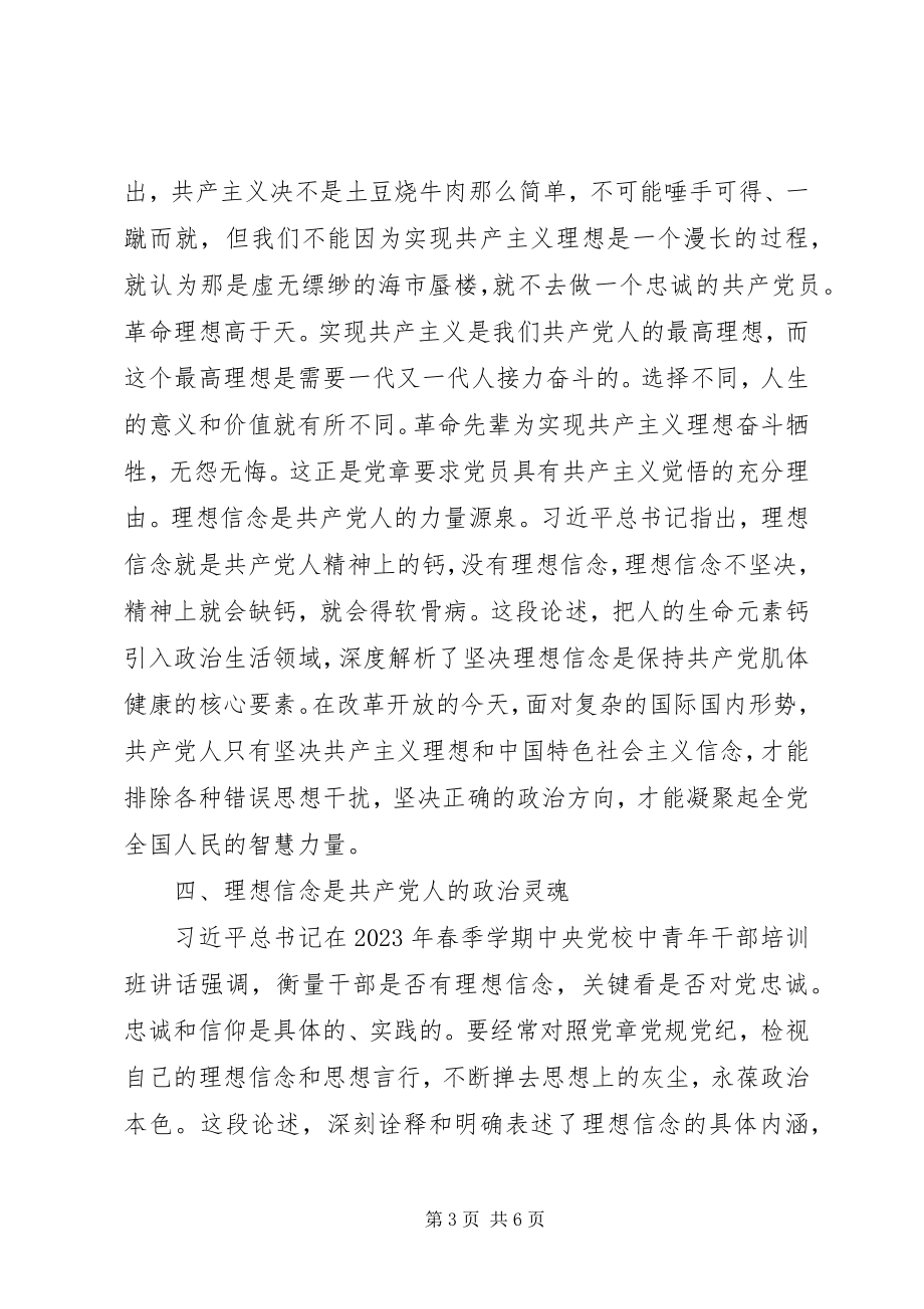 2023年坚定理想信念专题研讨讲话两篇.docx_第3页