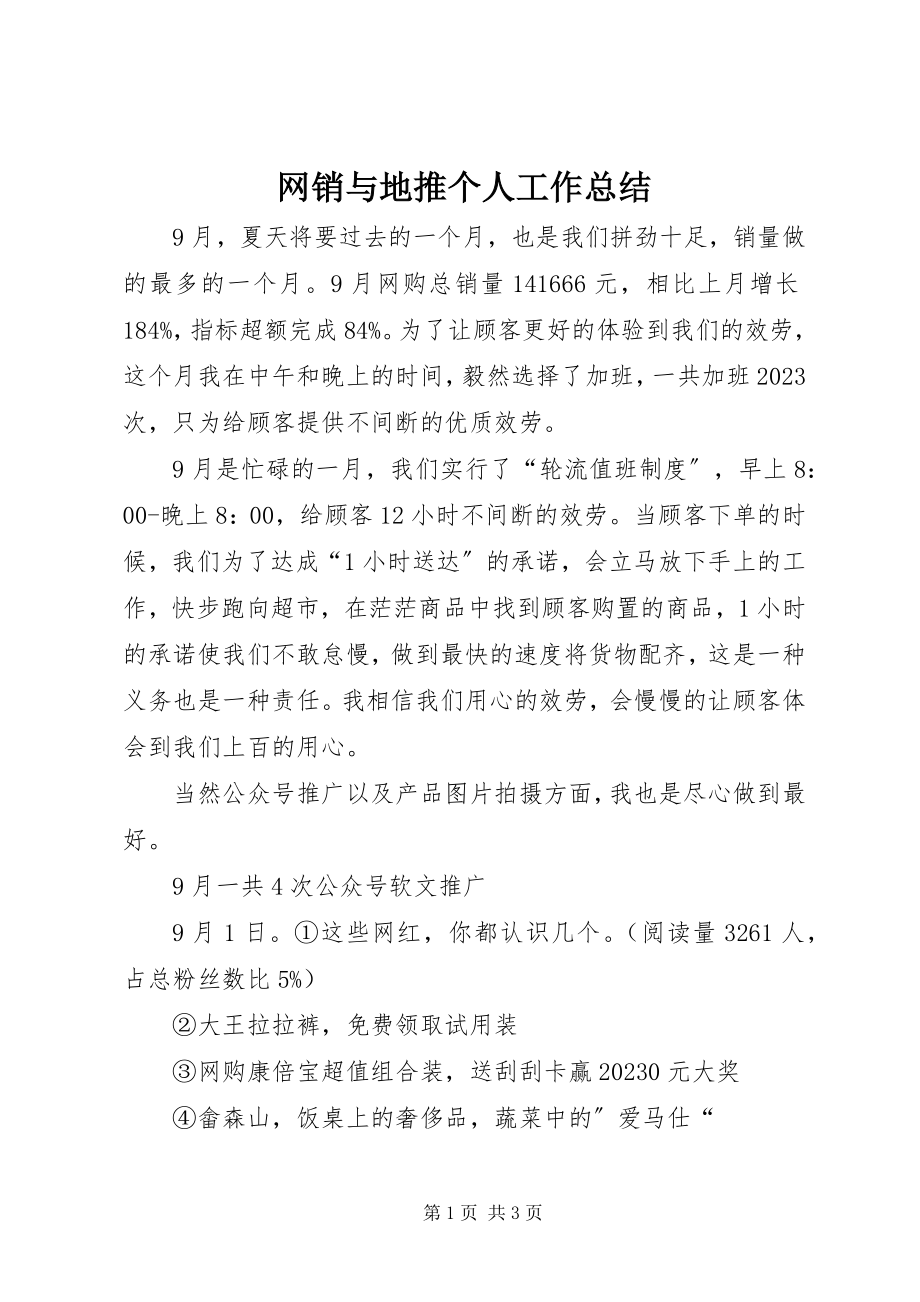 2023年网销与地推个人工作总结.docx_第1页