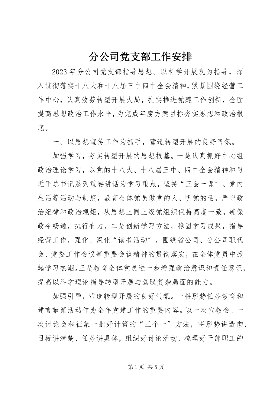 2023年分公司党支部工作安排.docx_第1页