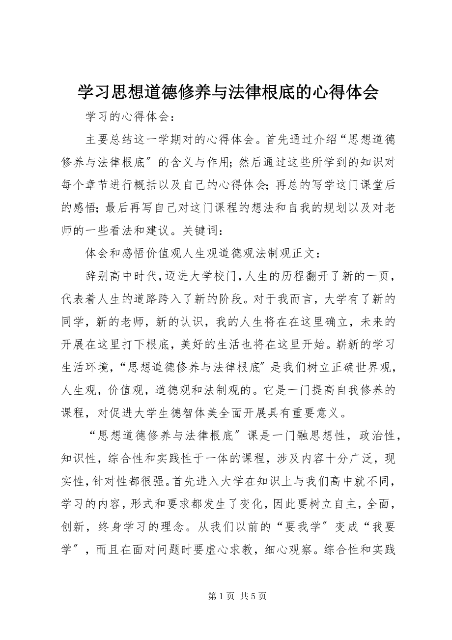 2023年学习思想道德修养与法律基础的心得体会.docx_第1页