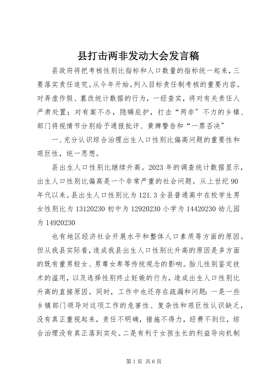 2023年县打击两非动员大会讲话稿.docx_第1页