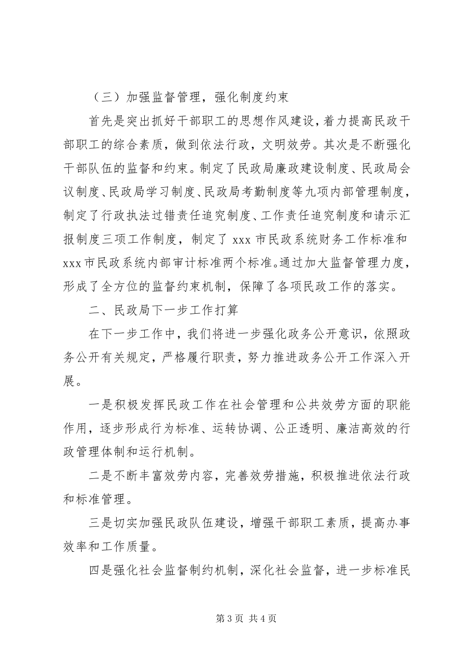 2023年民政局政务公开工作总结.docx_第3页