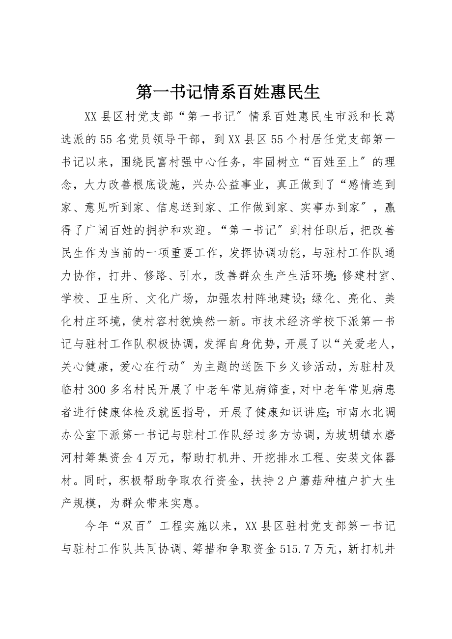 2023年第一书记情系百姓惠民生新编.docx_第1页