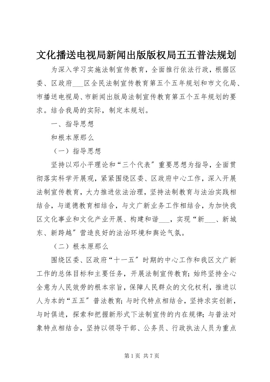 2023年文化广播电视局新闻出版版权局五五普法规划.docx_第1页