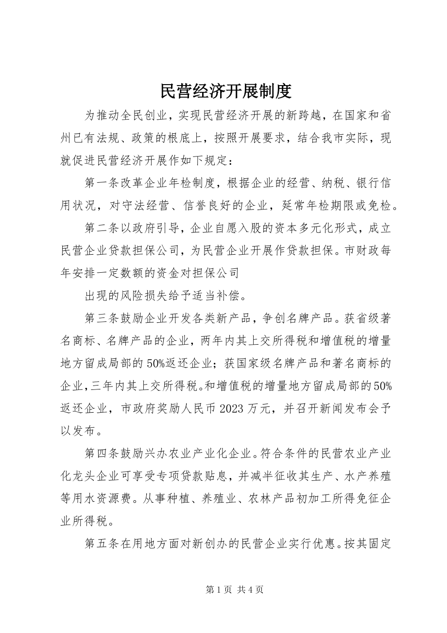 2023年民营经济发展制度.docx_第1页