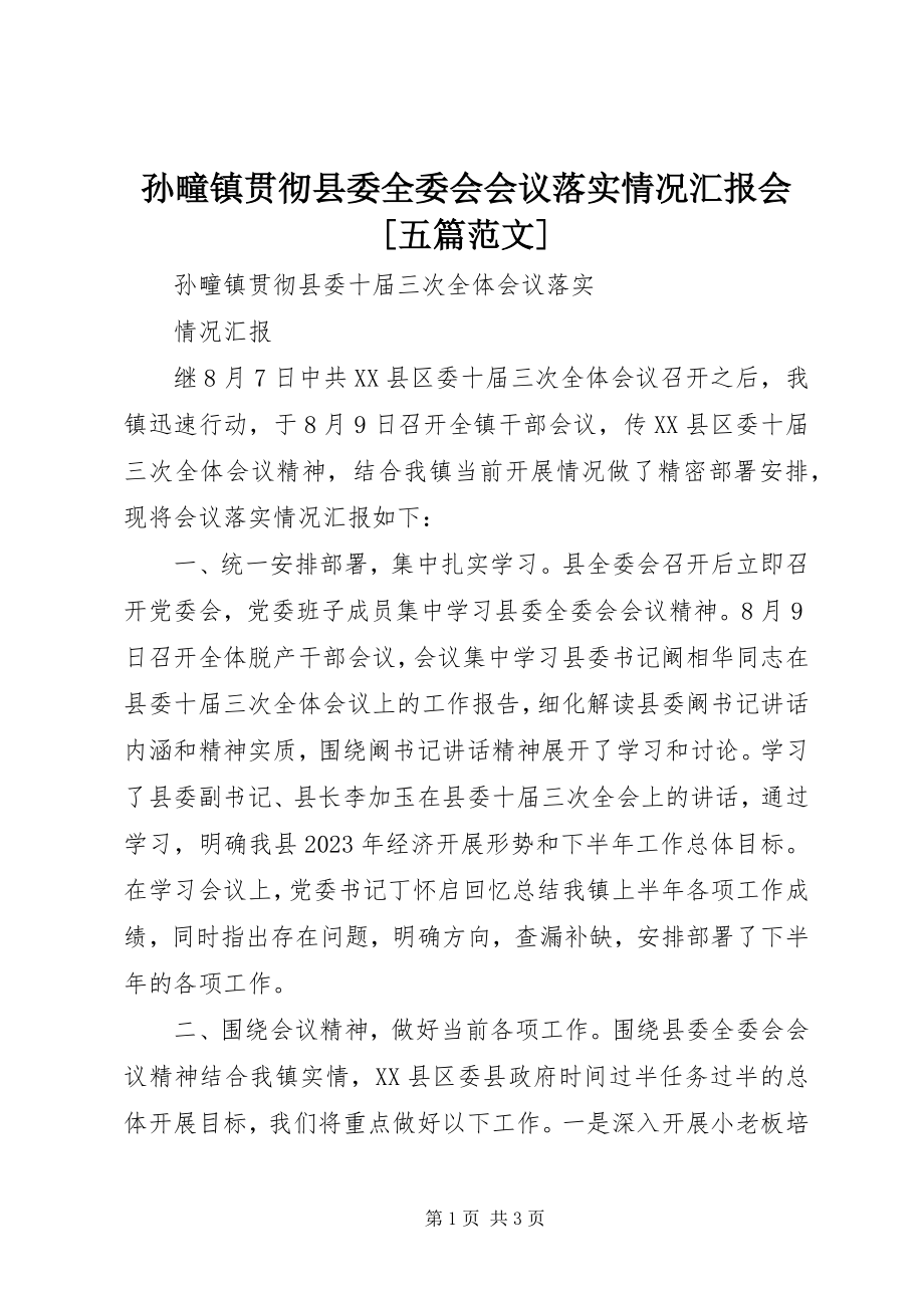 2023年孙疃镇贯彻县委全委会会议落实情况汇报会五篇.docx_第1页