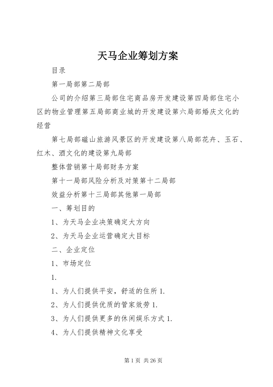 2023年天马企业策划方案.docx_第1页