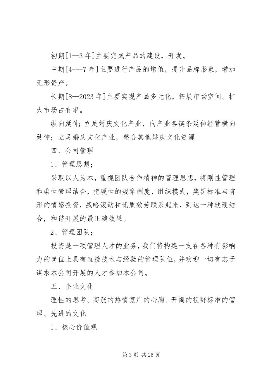 2023年天马企业策划方案.docx_第3页