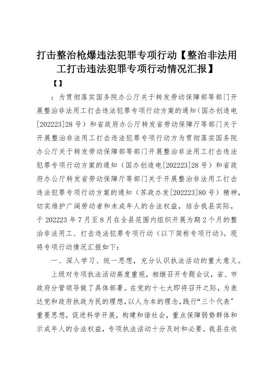 2023年打击整治枪爆违法犯罪专项行动【整治非法用工打击违法犯罪专项行动情况汇报】新编.docx_第1页