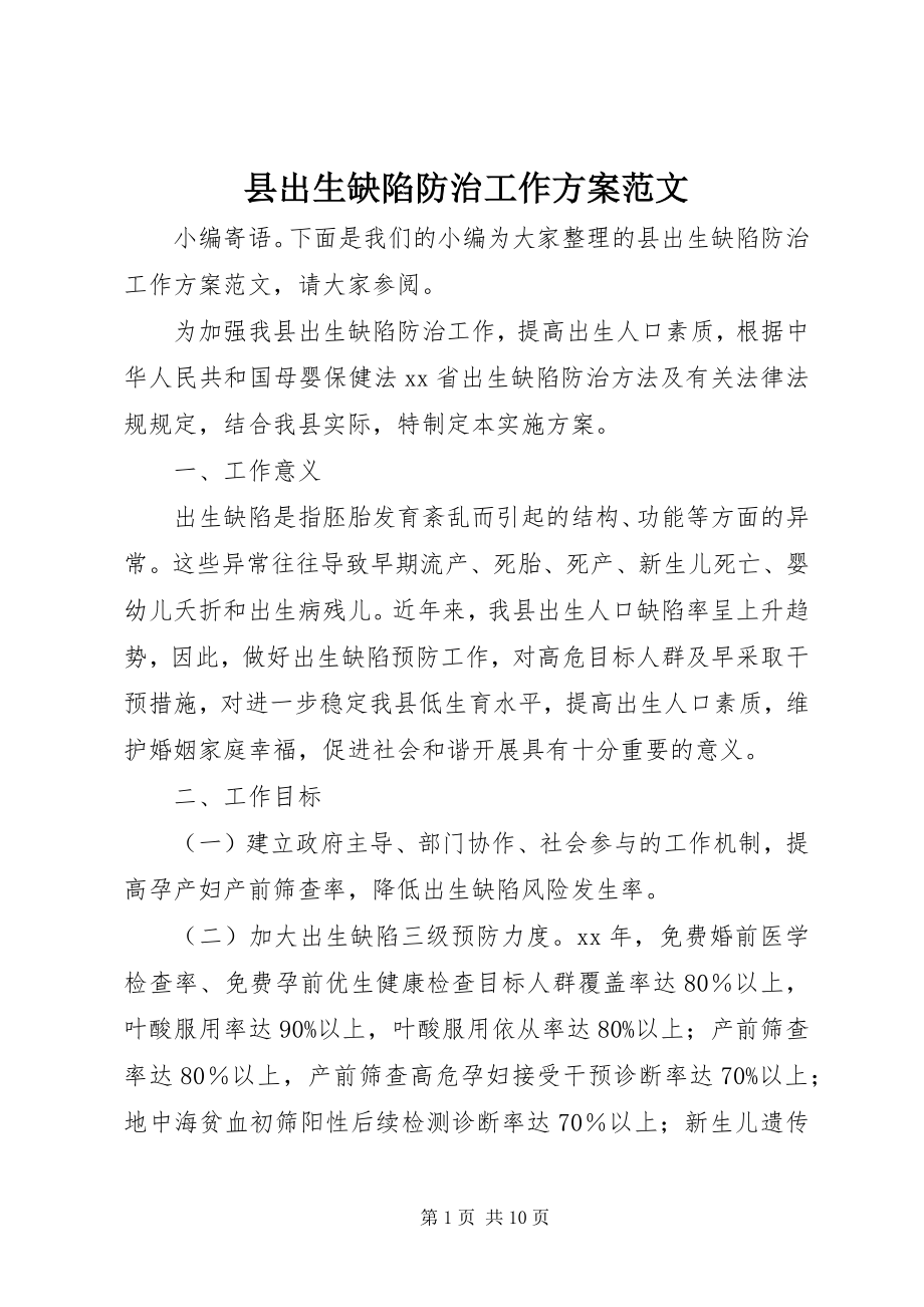 2023年县出生缺陷防治工作计划.docx_第1页