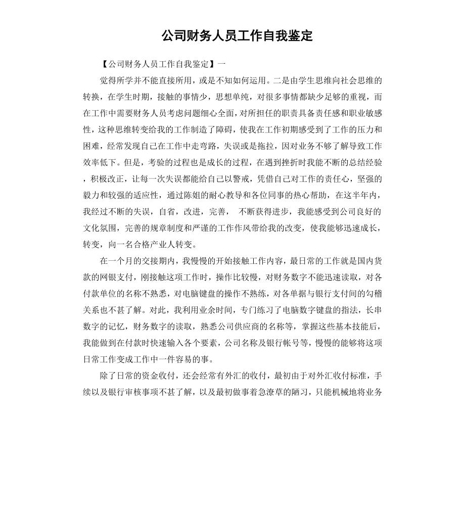 公司财务人员工作自我鉴定.docx_第1页