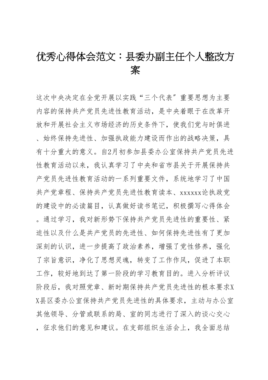 2023年优秀心得体会范文县委办副主任个人整改方案.doc_第1页