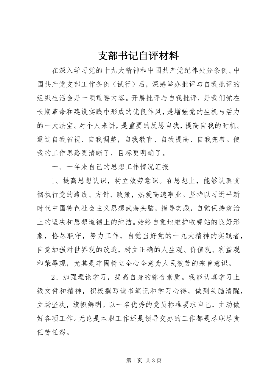 2023年支部书记自评材料.docx_第1页