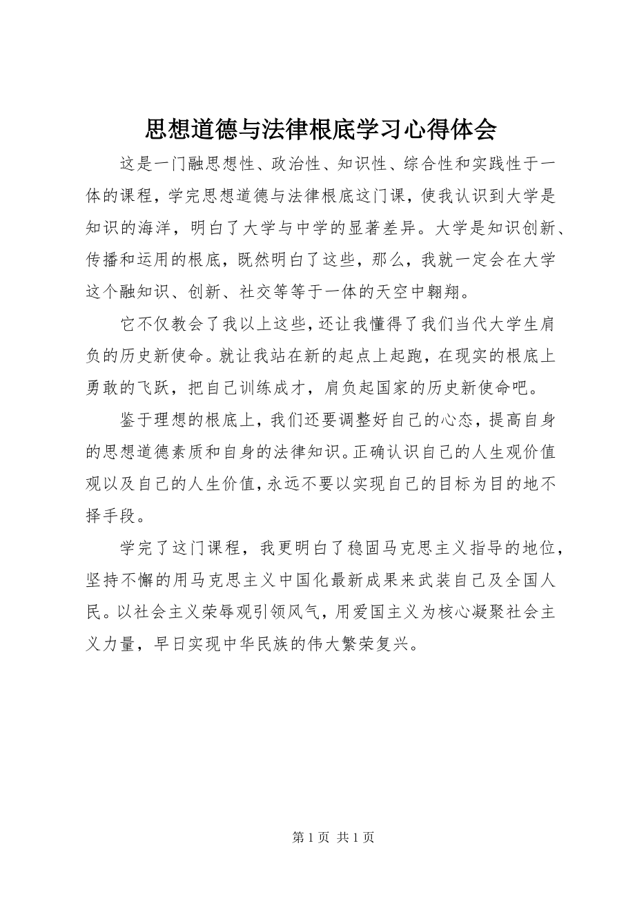 2023年思想道德与法律基础学习心得体会.docx_第1页