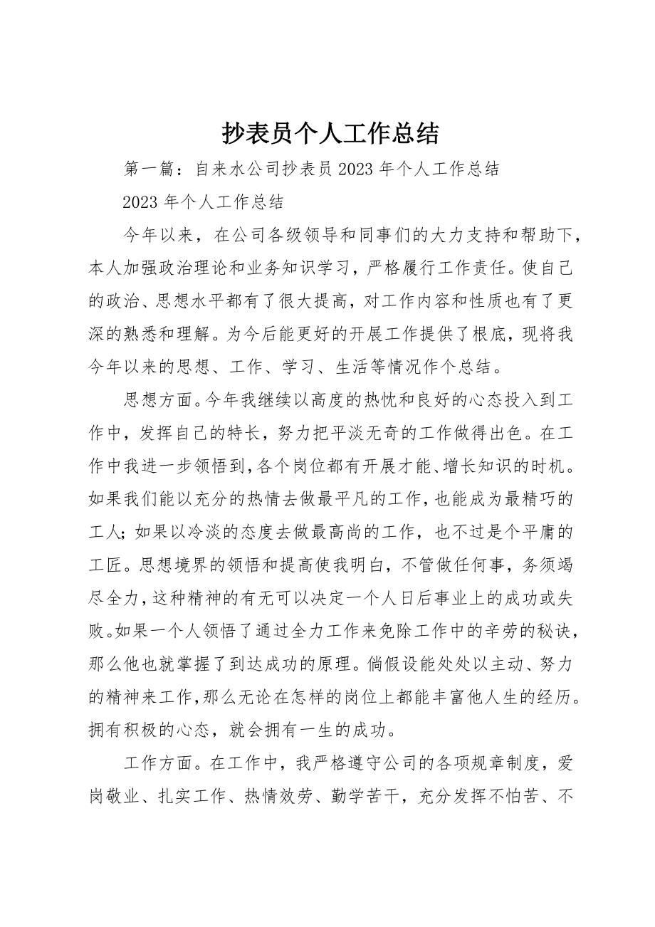 2023年抄表员个人工作总结新编.docx_第1页