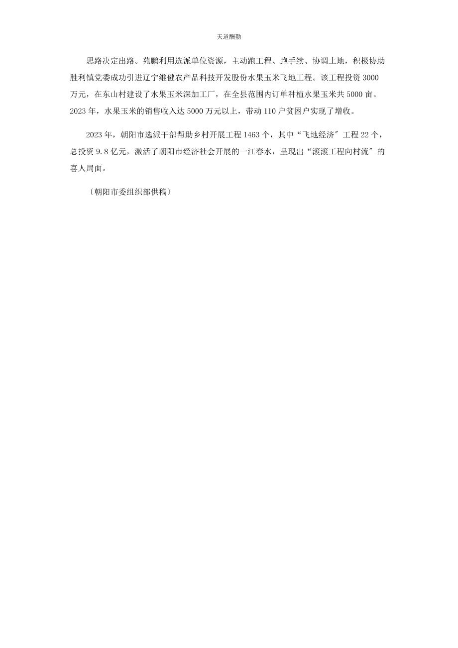 2023年滚滚项目向村流范文.docx_第2页