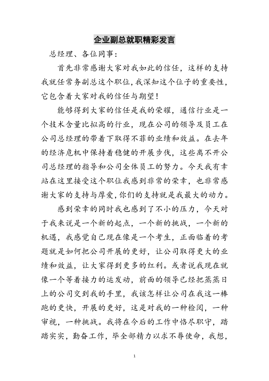 2023年企业副总就职精彩发言范文.doc_第1页