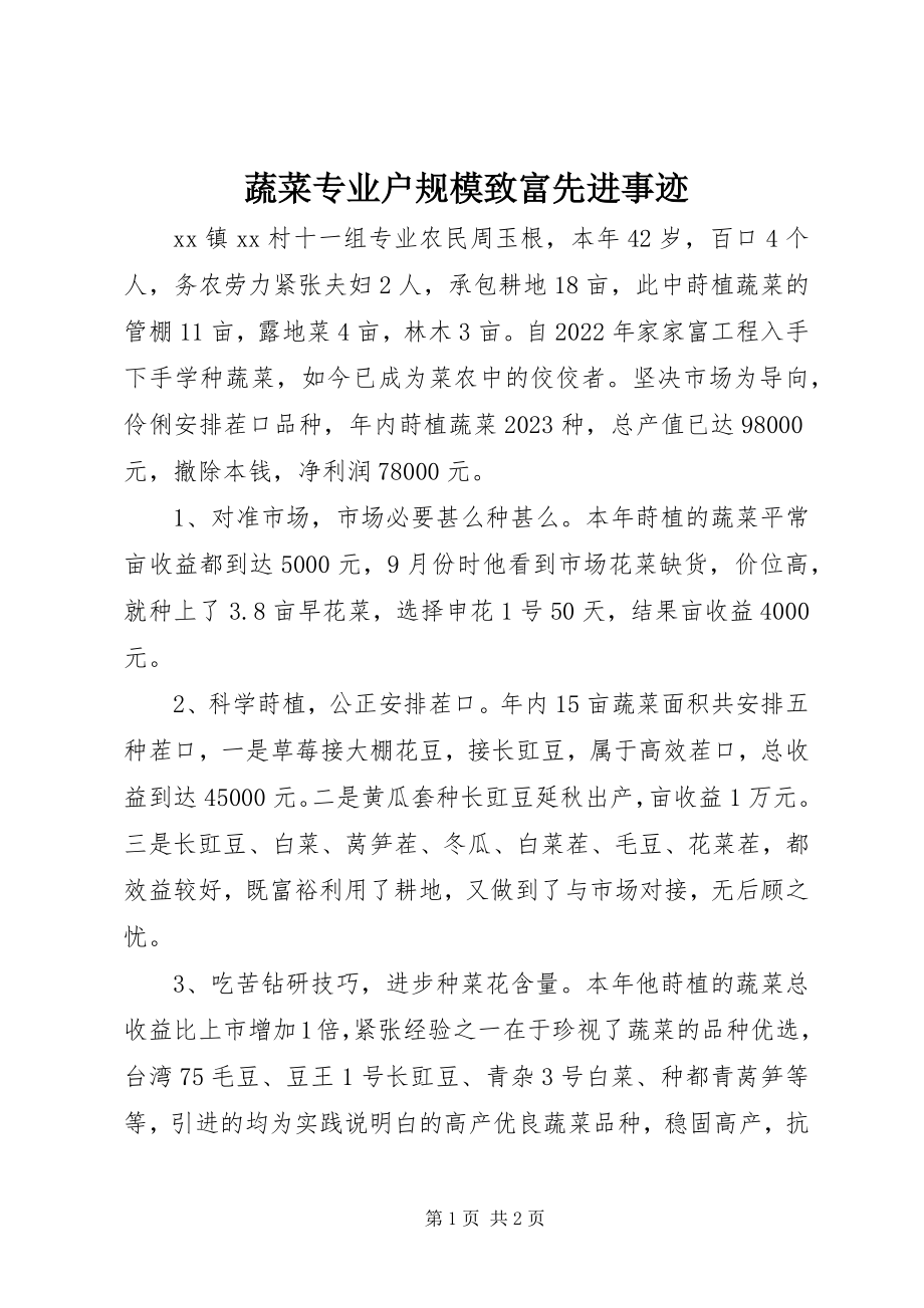 2023年蔬菜专业户规模致富先进事迹.docx_第1页